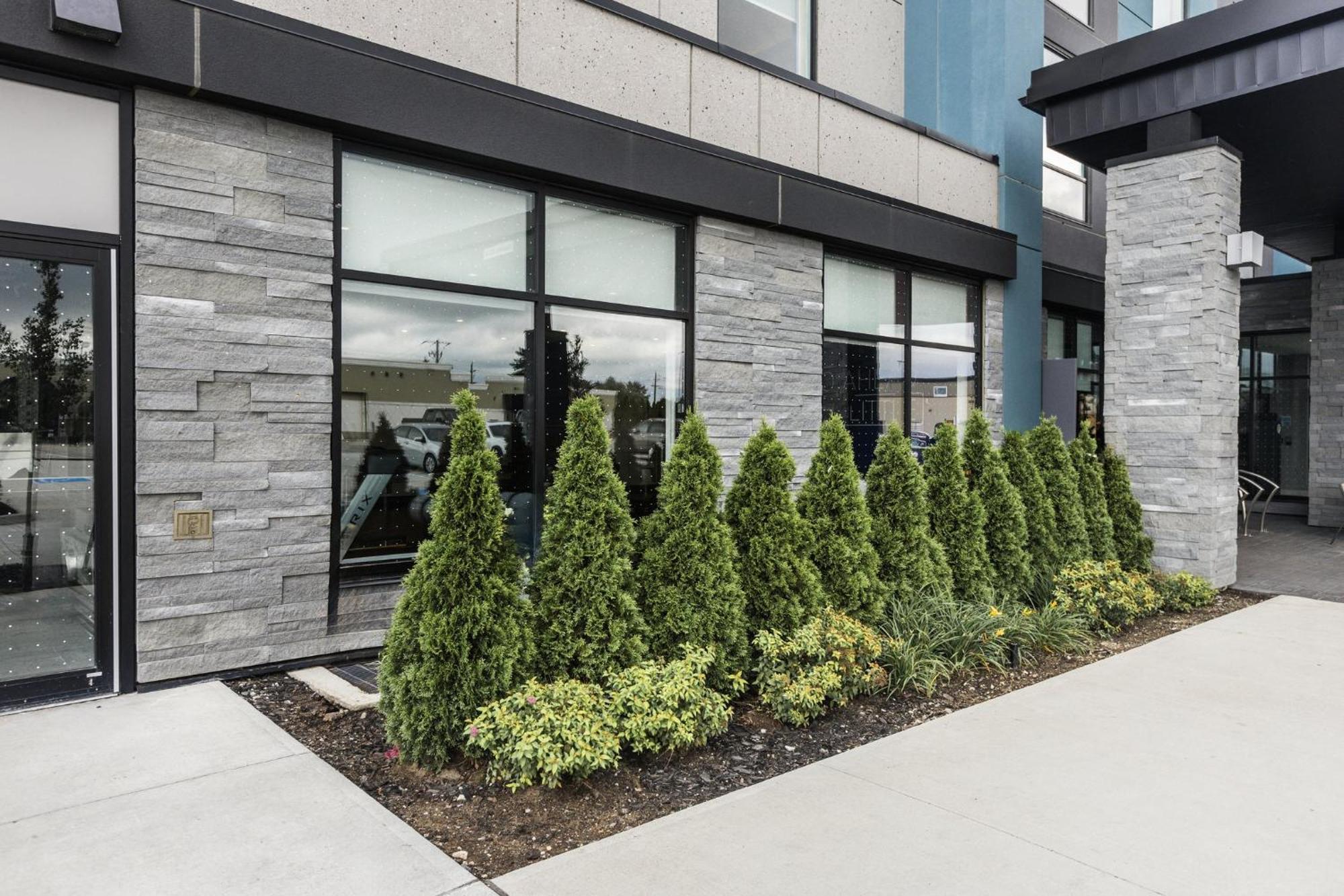 Holiday Inn Express & Suites - Toronto Airport South By Ihg Eksteriør bilde